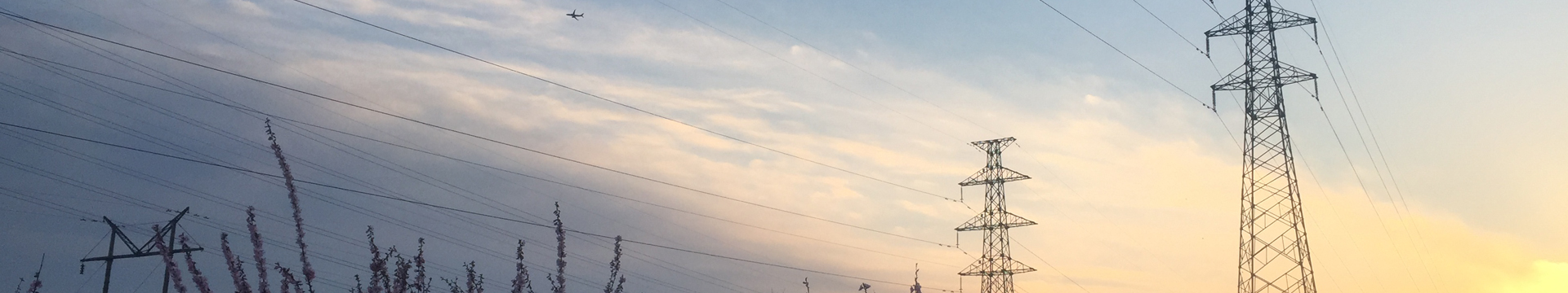 業務範圍